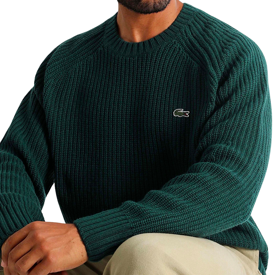 Lacoste Men's Wool Sweaters - bamn.