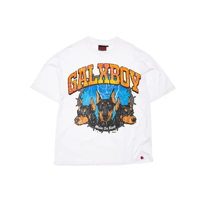 Galxboy + NB 9060s - bamn.